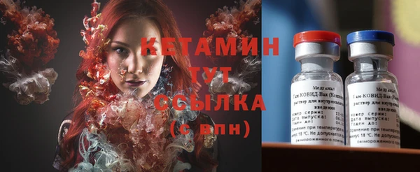 прущие грибы Лабытнанги