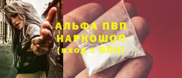 прущие грибы Лабытнанги