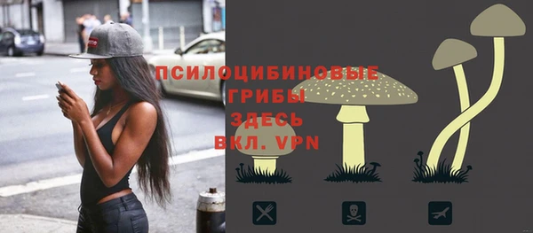 apvp Балабаново