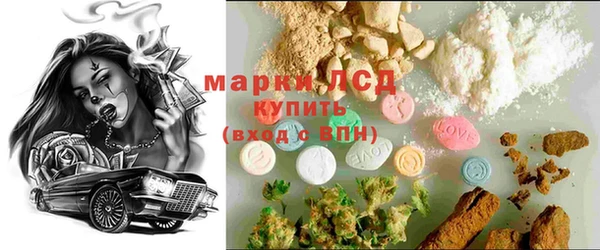 прущие грибы Лабытнанги